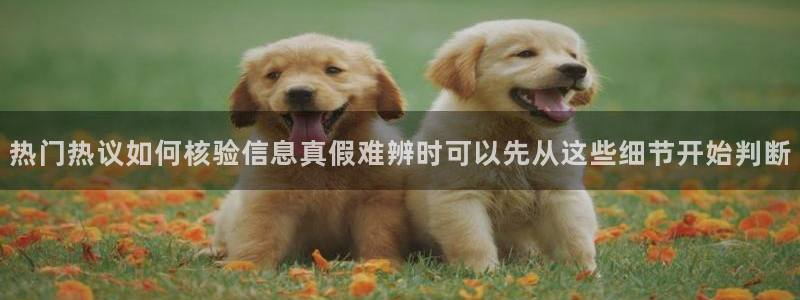 在线吃瓜