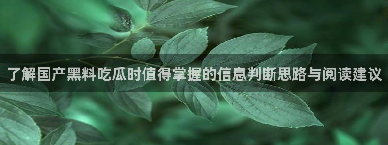爆料吃瓜:了解国产黑料吃瓜时值得掌握的信息判断思路与阅读建议