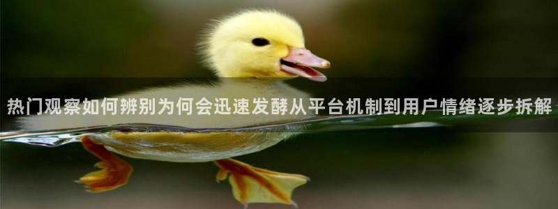 91吃瓜网站:热门观察如何辨别为何会迅速发酵从平台机制到用户情绪逐步拆解