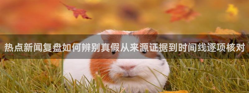吃瓜黑料爆料:热点新闻复盘如何辨别真假从来源证据到时间线逐项核对